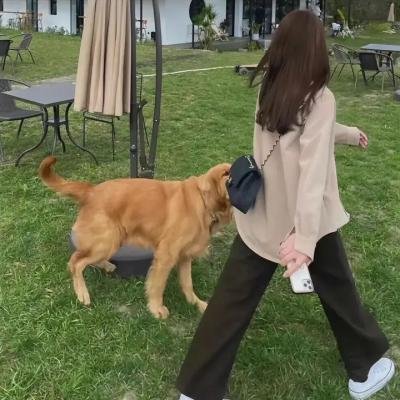 宿敌第二季